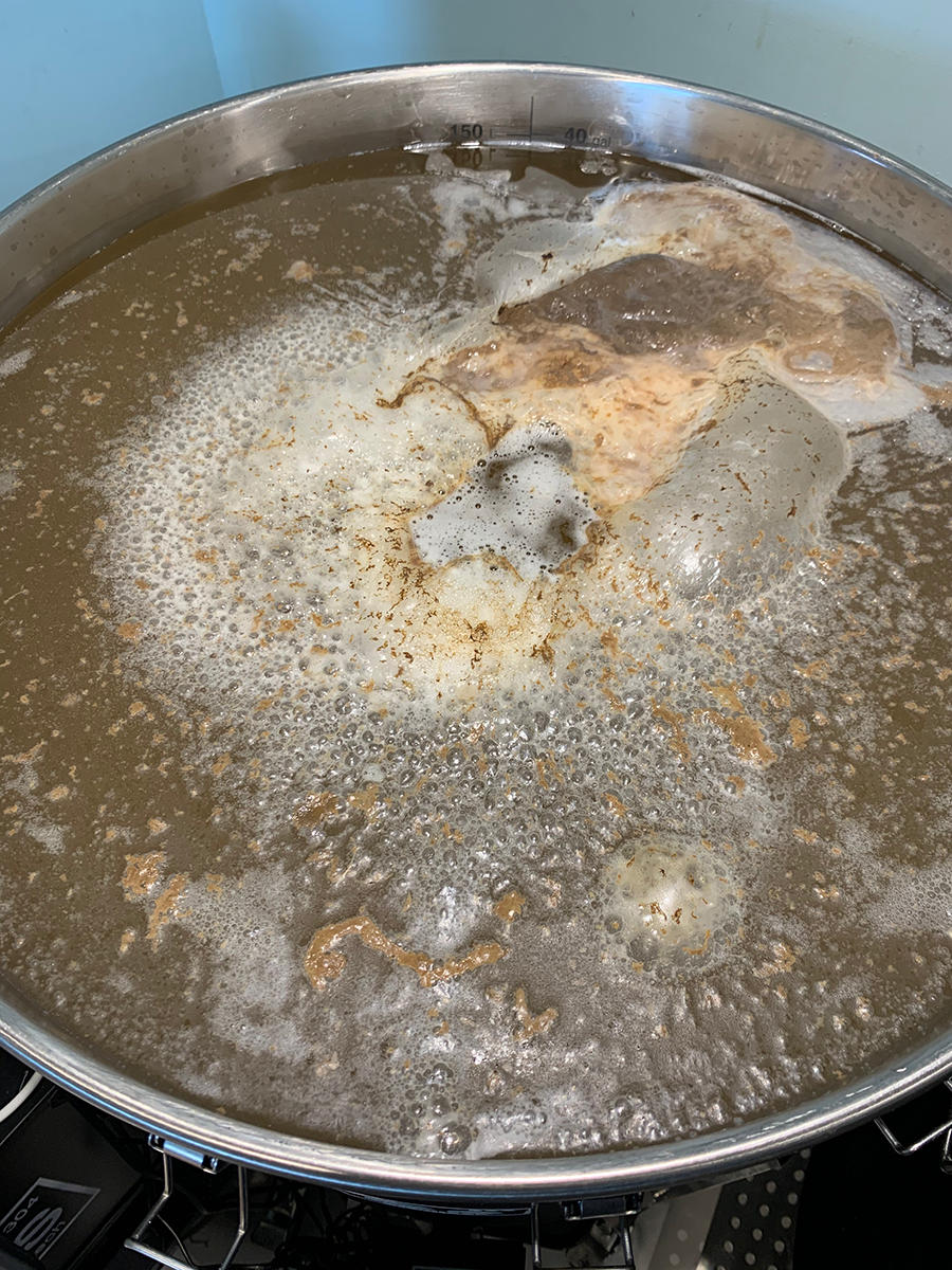 During fermentation, kombucha will create a pellicle that floats on top of the brew which is often mistaken for the SCOBY