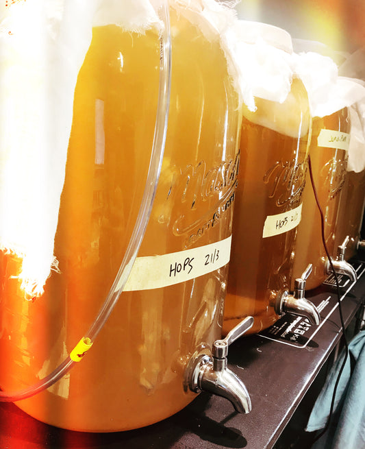 What is Kombucha and How it Differs from Jun-Kombucha in 2023